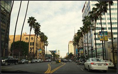Hollywood Blvd II