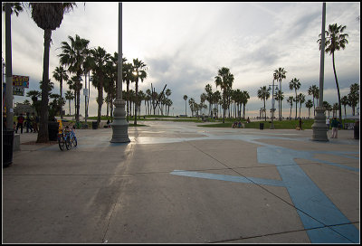 Venice Beach IV