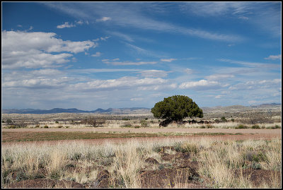 High Desert