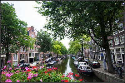 Canal Flowers I