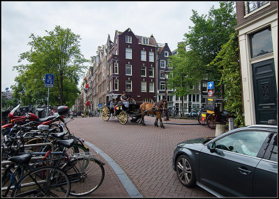 Horse Carriage