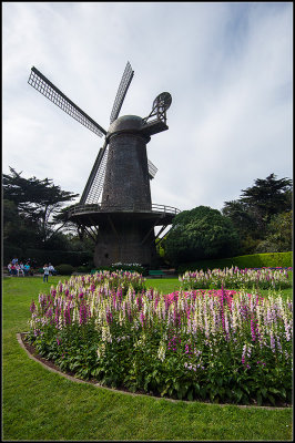 North Dutch Windmill I