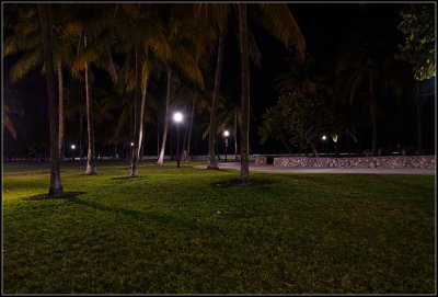 South Beach Night III