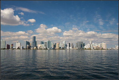 Miami Skyline III