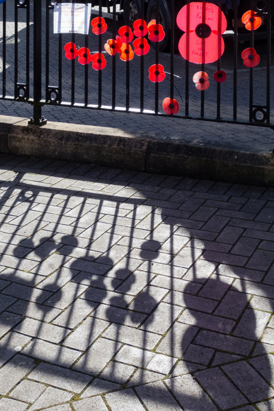 Poppy shadows.jpg