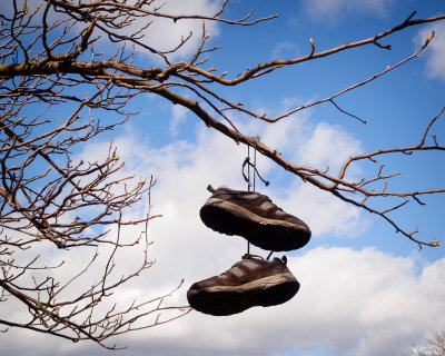 Shoes in a tree.jpg