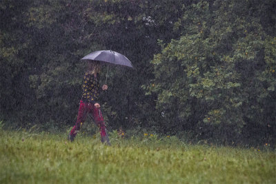 Marchons sous la pluie