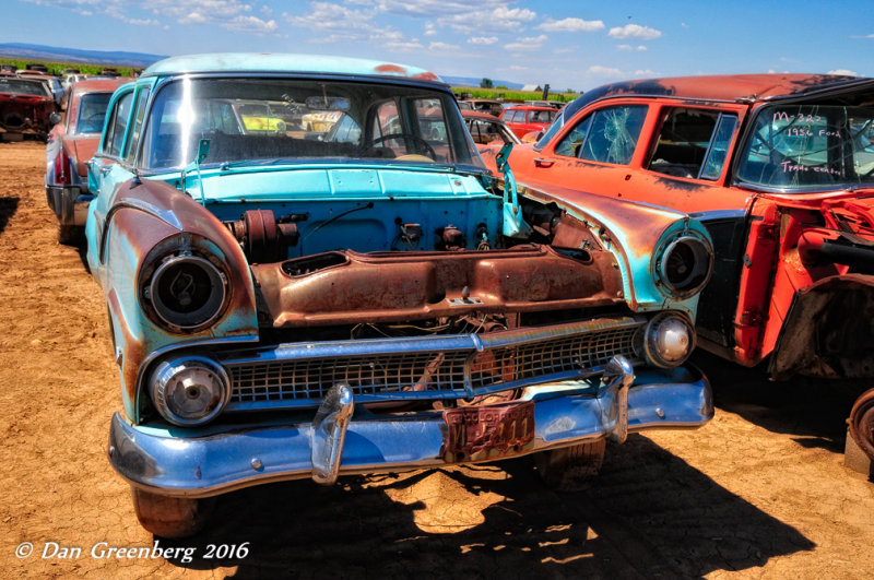 1955 Ford