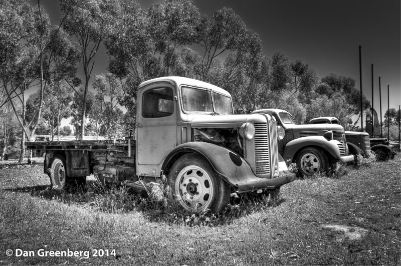 Old Truck Line Up