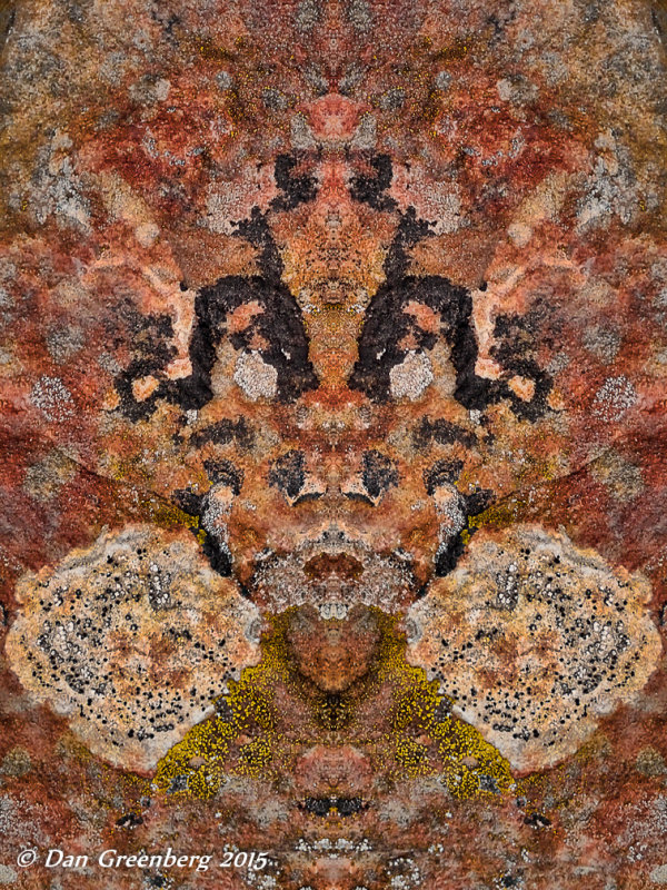 Multicolored Moss Mirror Image