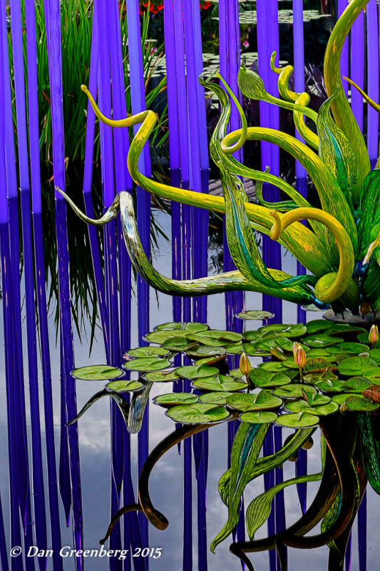 Chihuly Abstract