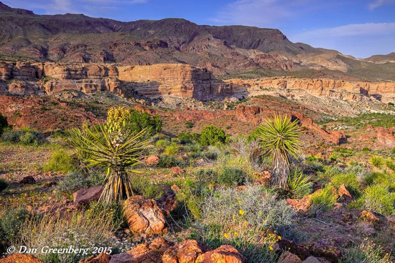 Between Cool Springs and Oatman, AZ