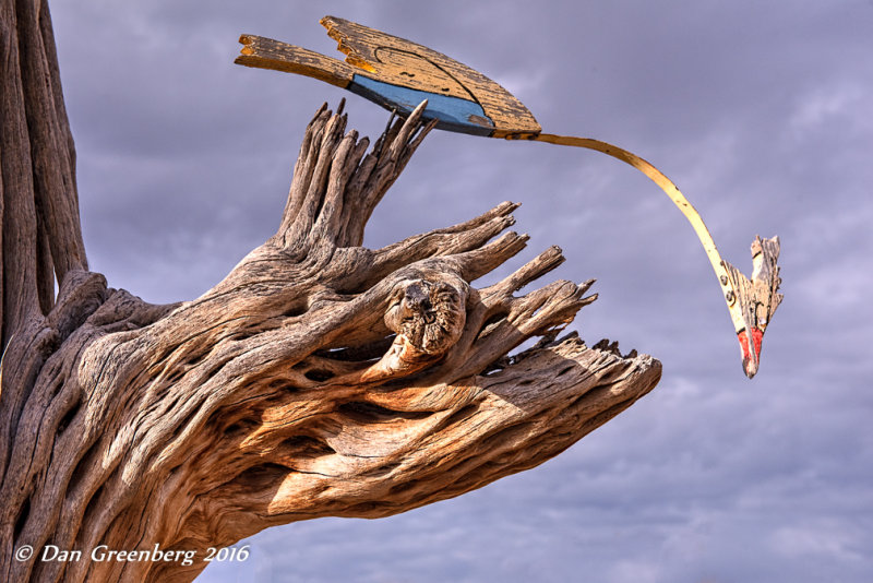Saguaro Cactus Skeleton with Wooden Bird