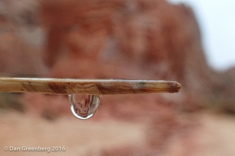 A Single Drop of Water