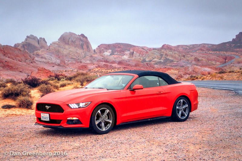 A Perfect Place for a Bright Red Mustang
