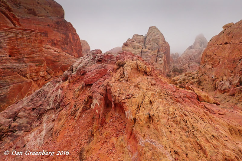 Warm Colors on a Cool, Overcast Day