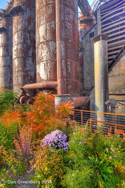 Rust and Fall Colors