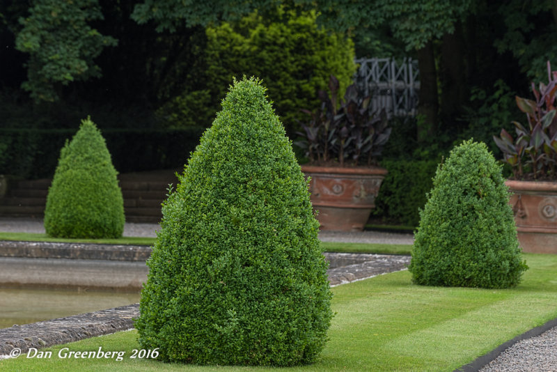 Nicely Shaped Trees