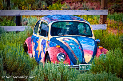 Artful VW in the Weeds