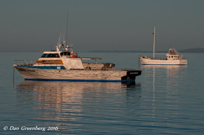g9/17/816317/3/119614629.FfcRZRIb.jpg
