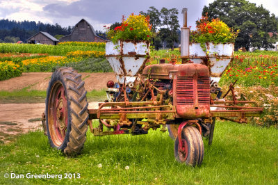 Old Farmall Tractor