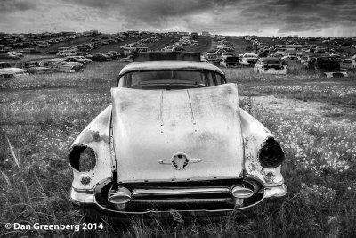 1955 Oldsmobile, Peyton, Colorado, 2014