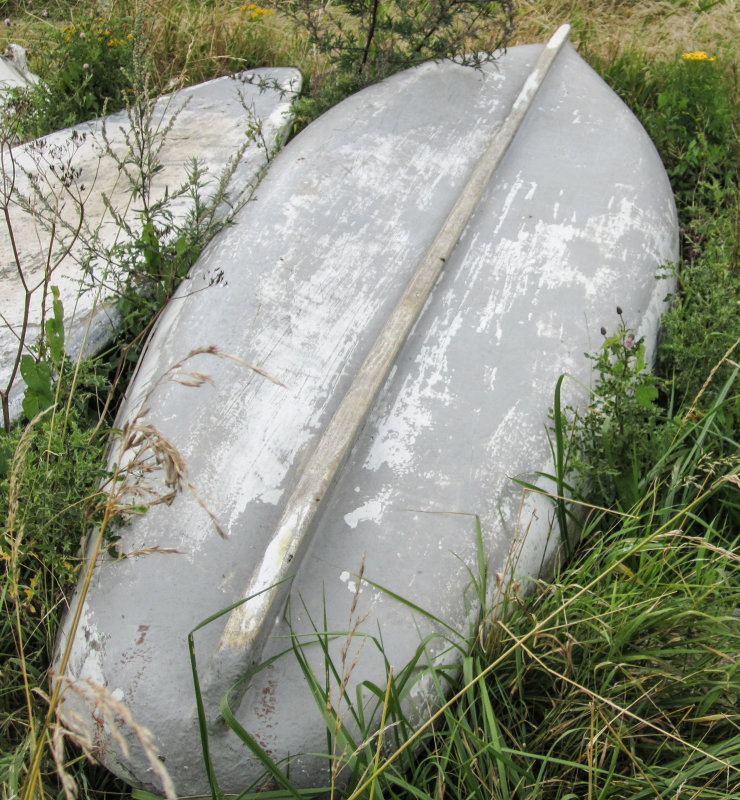 11 B.jpg