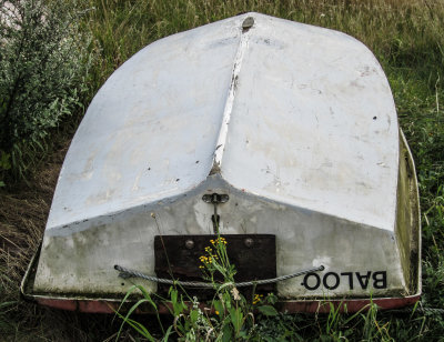3 B.jpg