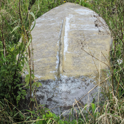 6 B.jpg