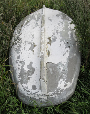 7 B.jpg