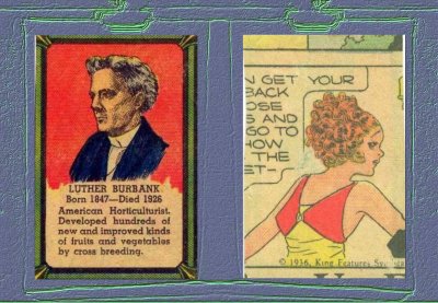 cast two: obverse & reverse