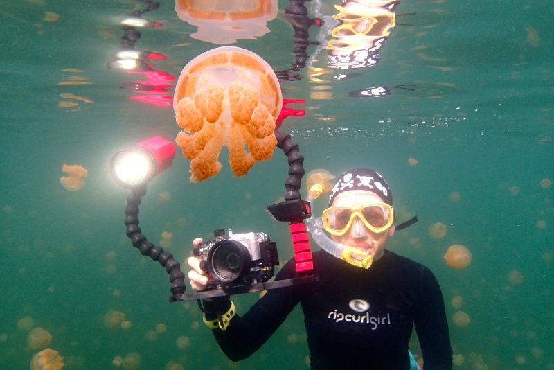 JELLY FISH LAKE-PALAU