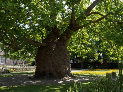 West Gate Gardens Canterbury