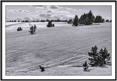 Snow field, Pyrnes