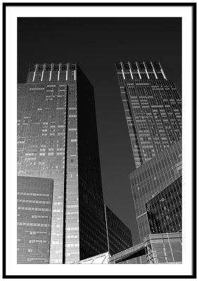 New York Vision