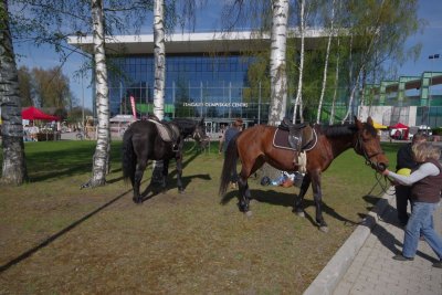 Jelgava