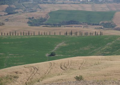 Crete Senesi