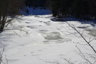 Ogre river near Ergli