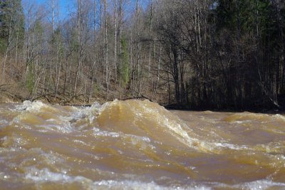 Brazu rapids in Ogre river