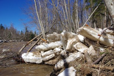 Brazu rapids in Ogre river