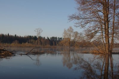 Aiviekste near Laudona