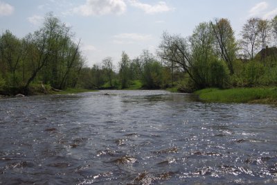 Ogre river near Ergli