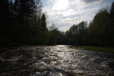 Ogre river - Brazu rapids