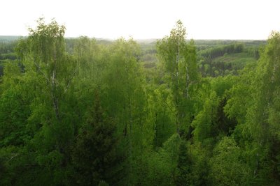 Razna National Park - View from Lielais Liepukalns