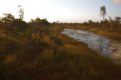 Kemeri National Park