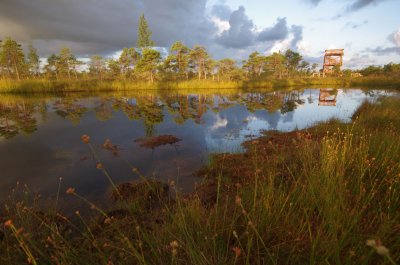 Kemeri National Park