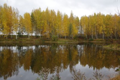 Koknese - Liktendarzs