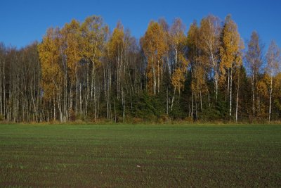 Aizkraukle area