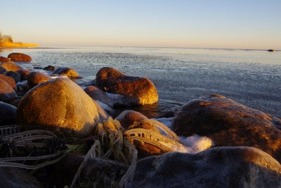 Kaltene shore