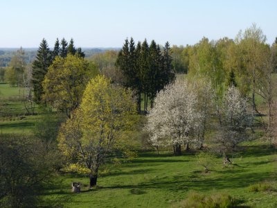 View from Ormankalns